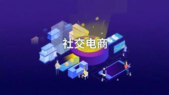 有品有魚 看清社交電商的商業(yè)模式本質(zhì),你也可以大膽干了