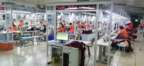 客服火線入職備戰天貓雙11，流水線24小時趕工，不夜廠點亮江蘇咨詢策劃服務